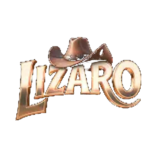 Lizaro online
